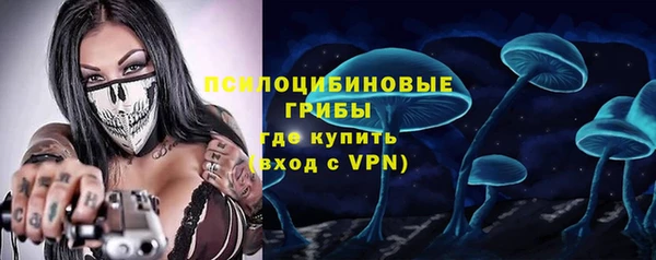 мяу мяу мука Баксан